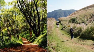 秋天就是要在芒花海拍照打卡！台灣北部 4 大絕美的登山步道
