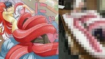 超有事！ 7 公尺「蛇娘米亞」抱枕要價 2.5 萬...30 分鐘全部賣完！