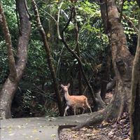 家電居家維修交流中心