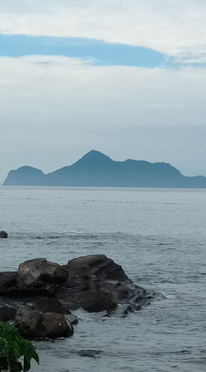 小游鮮魚