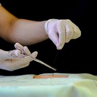 Hands-On Medical Workshop And Observership