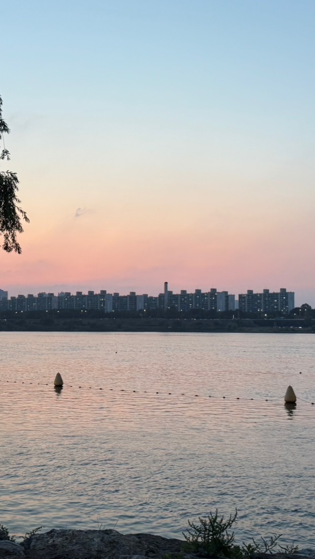 SGRb 韓國代購🇰🇷