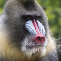 ワカゾーとベテラン