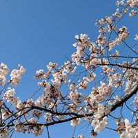 みっちゃんのおぷちゃ