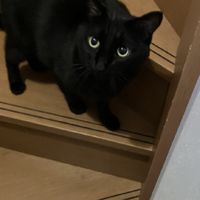 中高生の雑談部屋
