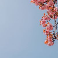 匿名聊天，一起隨心所欲的暢說心事～