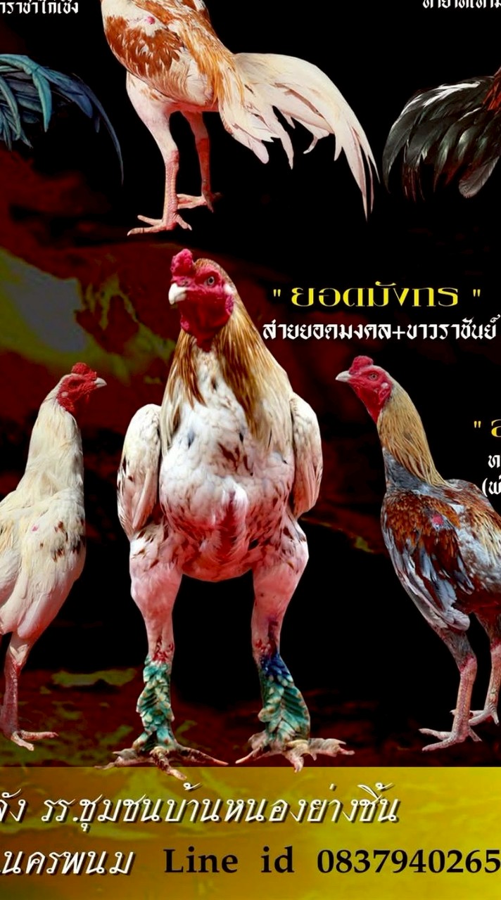 ป้อมสุพรรณ สาขานครพนม