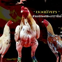 ป้อมสุพรรณ สาขานครพนม