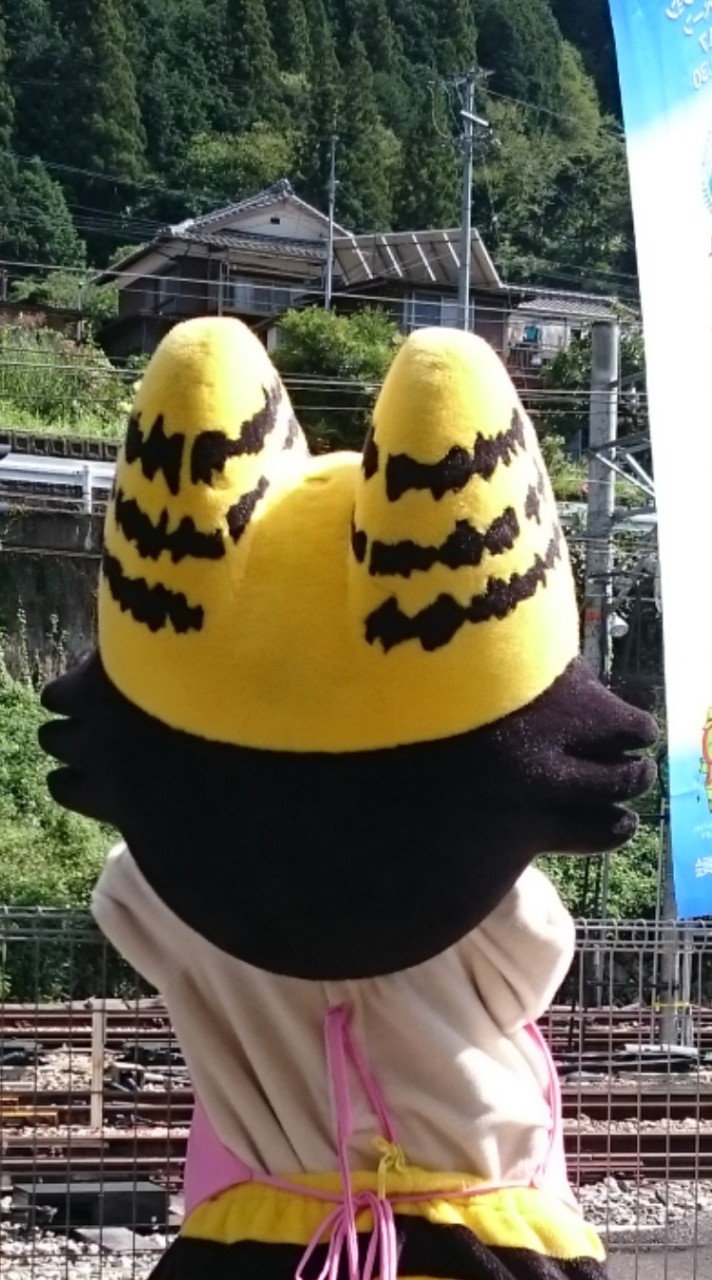 〈非公式〉天龍村のつぶやき