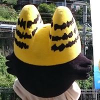 〈非公式〉天龍村のつぶやき