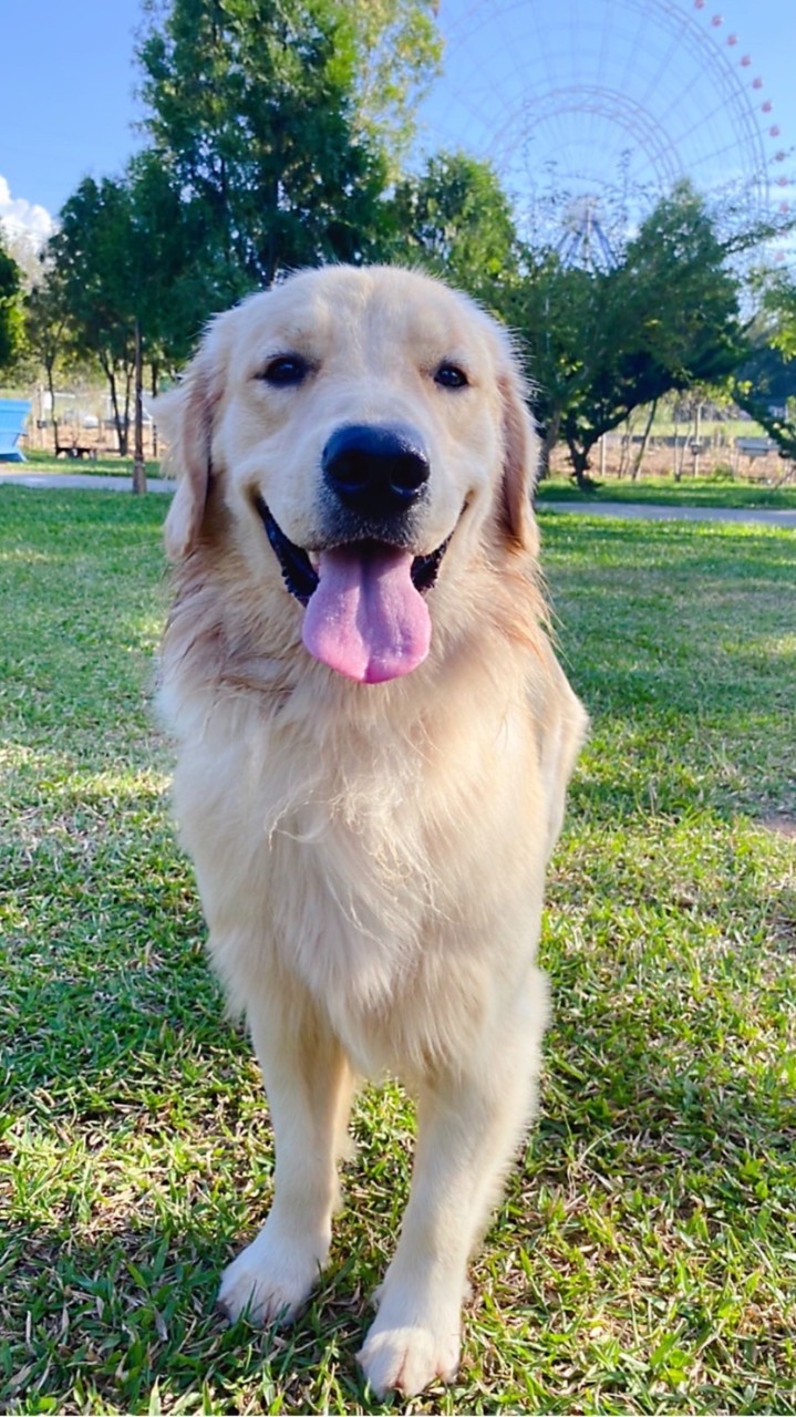 狗狗🐶貓貓🐱皮膚問題交流群