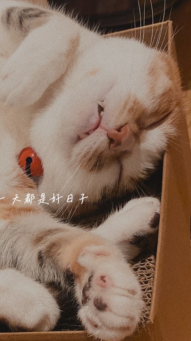 Love Reading｜愛書人的閱讀室