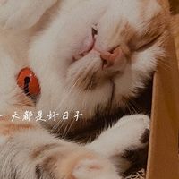 Love Reading｜愛書人的閱讀室