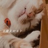 Love Reading｜愛書人的閱讀室