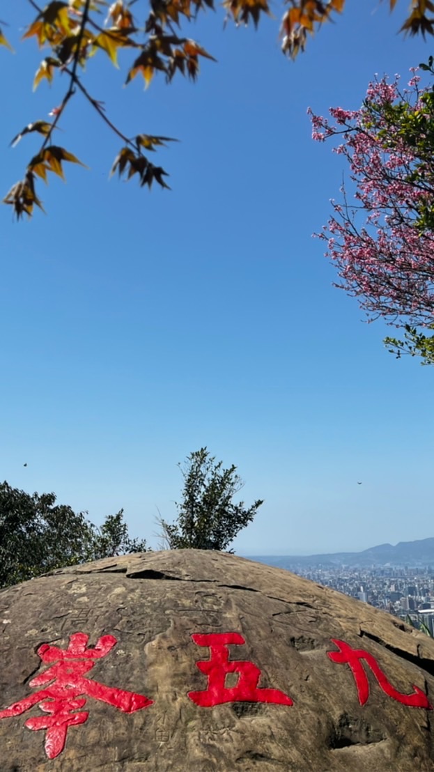 爬～好爬～真好爬～郊山健走🈲荒廢郊友偕廢頂峰相見群