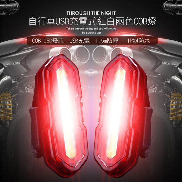 1.紅燈/白燈兩色，五段模式切換n2.國際標準IPX4防水等級n3.採用USB介面充電