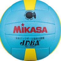 オノヤスポーツ杯 第7回 秋の福島県ドッジボール選手権大会