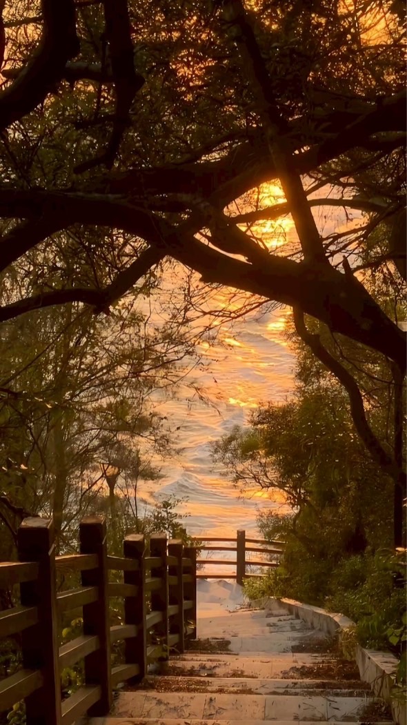 。˟𓏵殞 落 星 晨𓏵˟  。