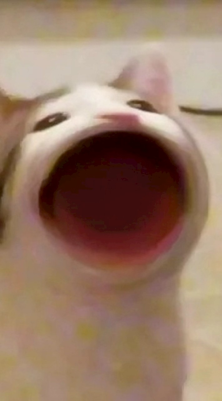 อร่อยชัวร์จันทบุรีตราด