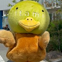 伊丹市男女共同参画推進ネットワーク