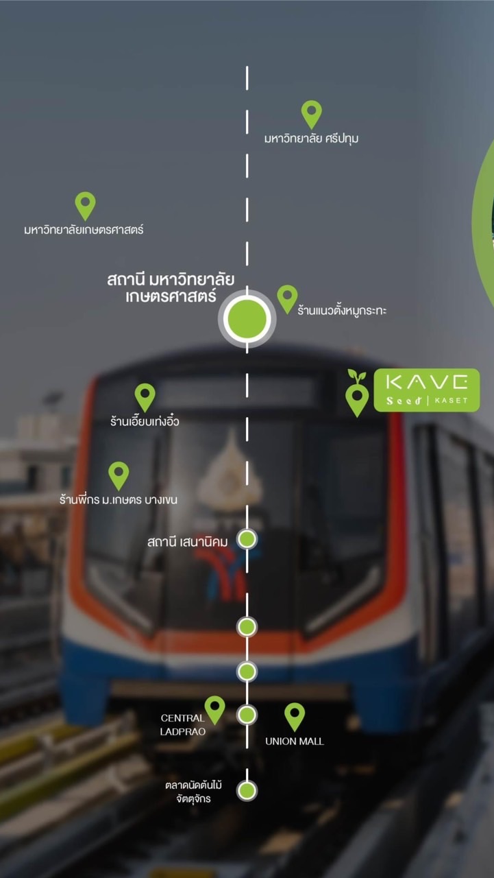 KAVE Seed KASET ซื้อ-ขาย