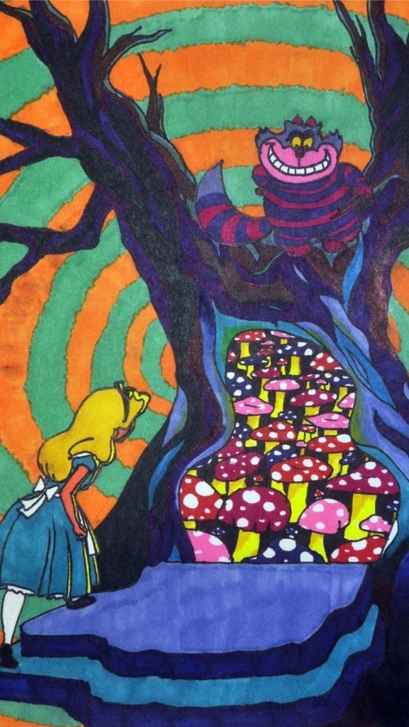 Wonderland OpenChat