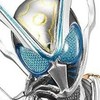 仮面ライダー好き集まれ！