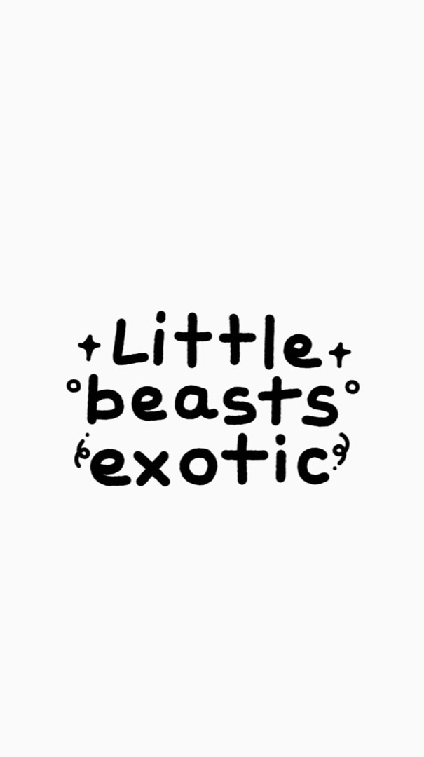 Little Beasts Exotic