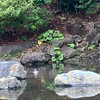セリアン(テリアン)さん、アザーキンさん大歓迎！是非お話しましょ