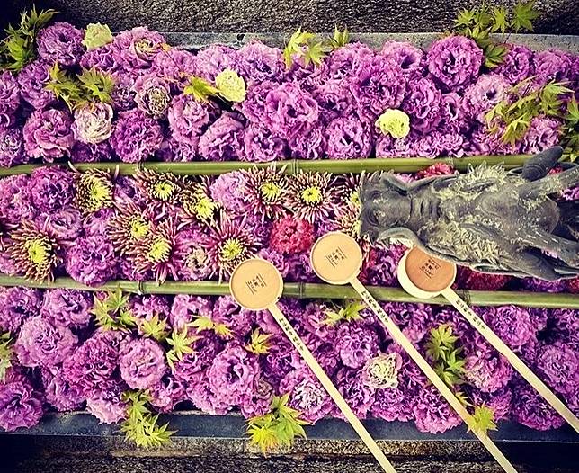 日本全國神社寺廟超好拍夢幻花手水大集合 繽紛花朵飄浮水面上讓人目炫神迷 感受四季自然之美 Walker Line Today