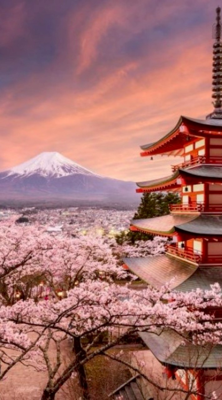 大阪京都日本超省錢旅遊群組