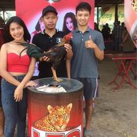 ขุนศึก นำชัย ฟาร์ม