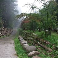 橘貓聊天心情小站