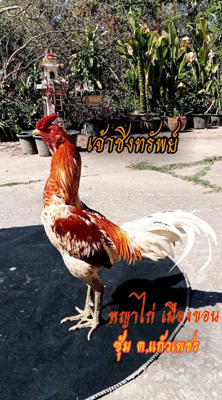 ซุ้ม ต.แก้วเพชร