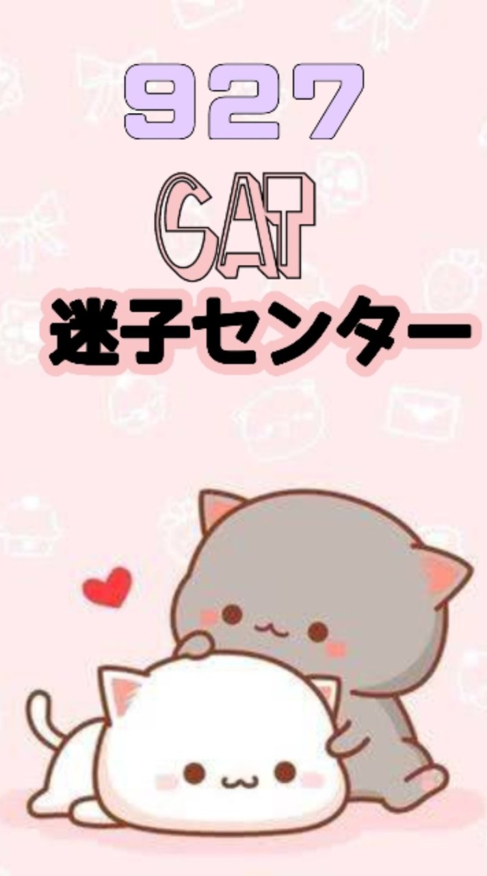 927#cat迷子センター