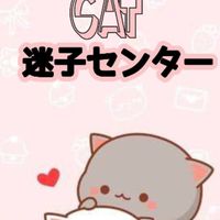 927#cat迷子センター
