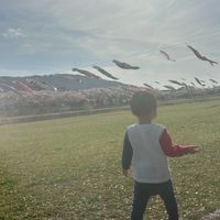 ひよこのチャット🐣
