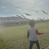 ひよこのチャット🐣