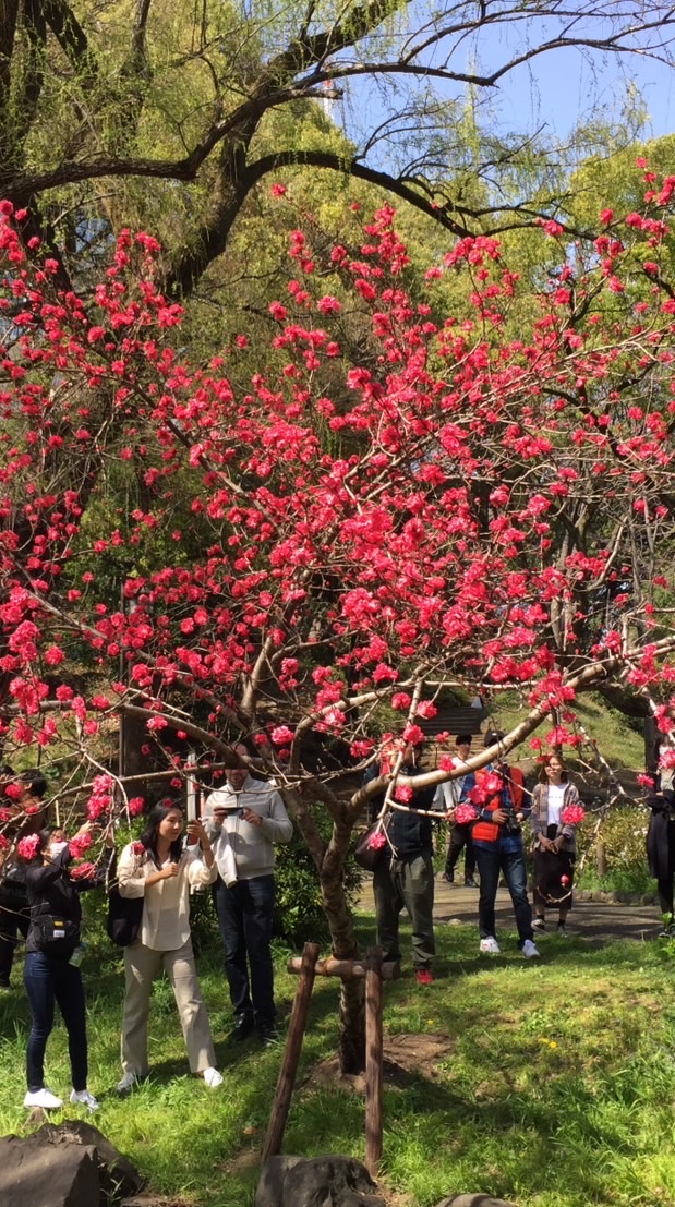 お気楽ゴルフ神奈川