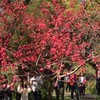 お気楽ゴルフ神奈川