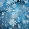 ❥ ｢ 雪が溶けたら ｣  ： 時制全緩ハント也