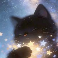 【482】無盡城戰 🐈‍⬛
