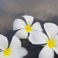 ห้องเก็บภาพ@ปลายอุโมงค์