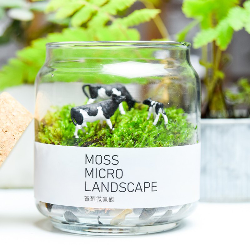 苔蘚微景觀材料包，將製作苔蘚微景觀所需的材料集結起來，讓你可以輕鬆享受苔蘚創作的樂趣，透過⼀些巧思與⾃然景觀的安排，加上適當的養護，彷彿就像是把⼀座⼩型的森林帶進家中⼀樣。