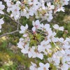 広島修道大学 商学部