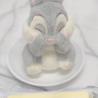 버터버니🧈🐰小代購