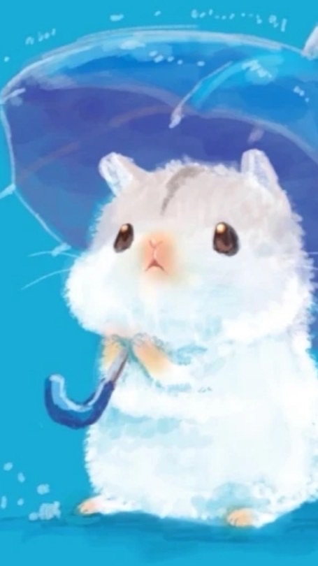 流浪動物守護群