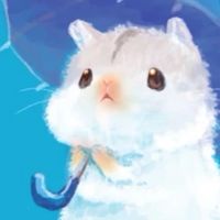 流浪動物守護群