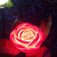 横須賀市三春町の春日神社／チャット