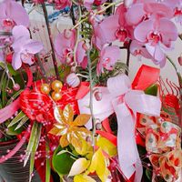 月嫂 月子餐 找保母 媽咪互相交流平台